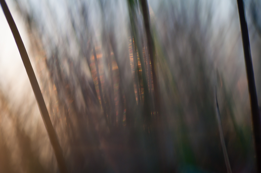 Gräsligt-0148 Gräsligt värre