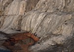 Rost