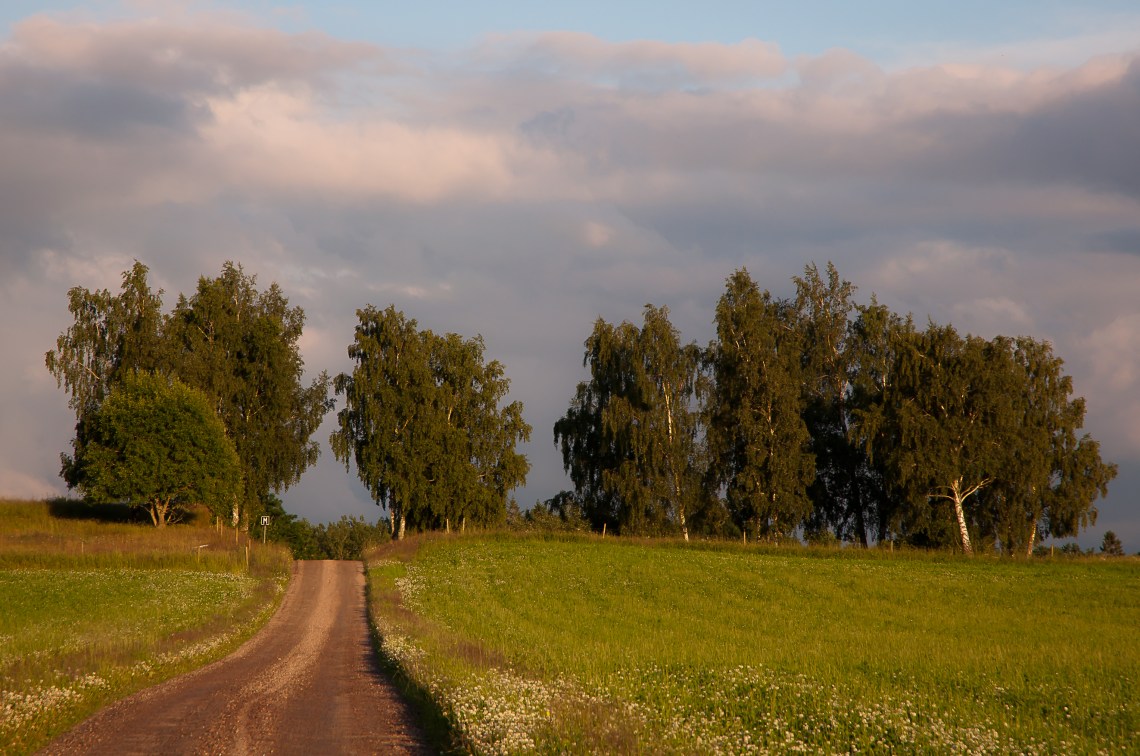 Vägen mot Höjerna-0054 Vägen mot Höjerna