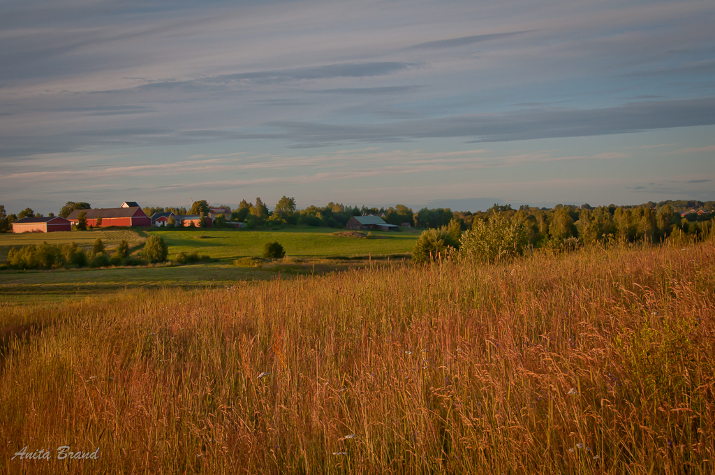 Kväll på Karla Högar-0258