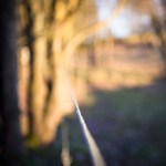 Att inte tappa fokus